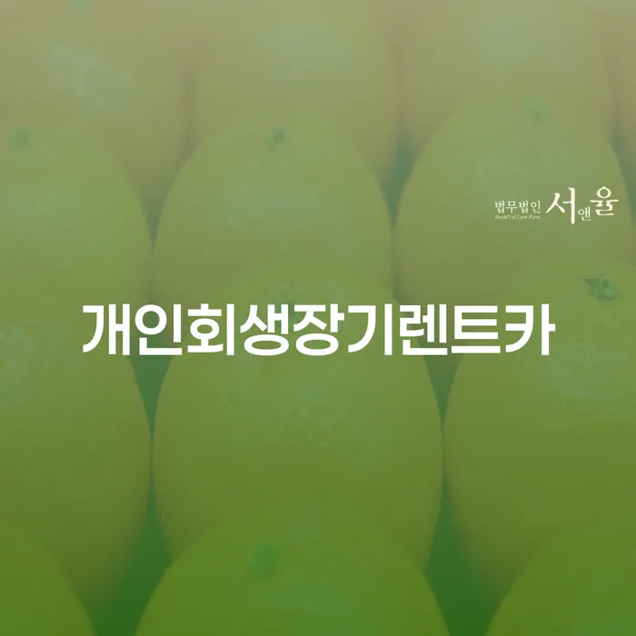 개인회생특별면책 빚갚는 방법 직접 물어보고