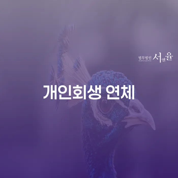 정선군 파산신청절차 추심 대응법 확인해요