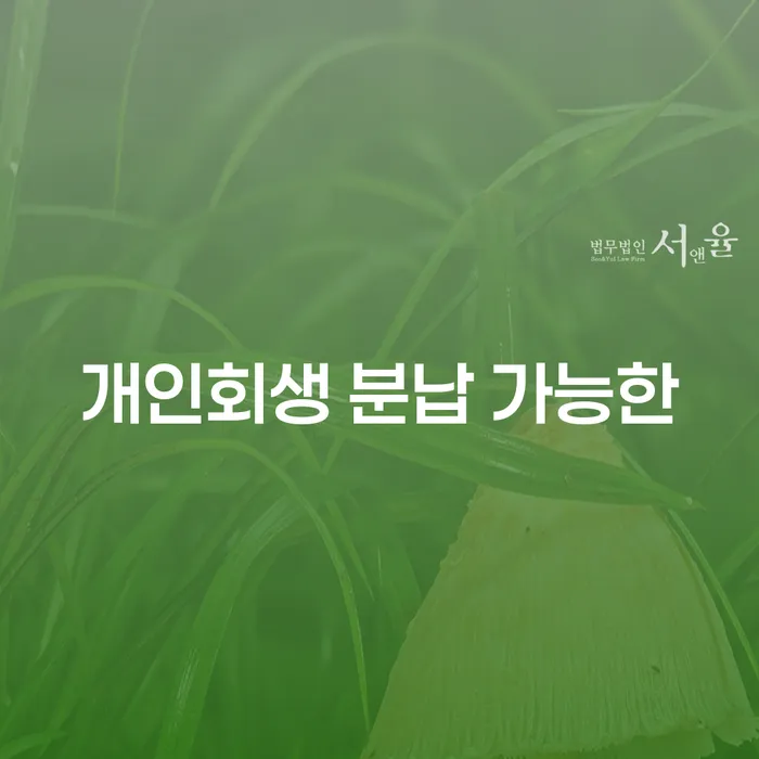 제주시 불법사채 대출 연체 개인회생 해결 가능합니다.
