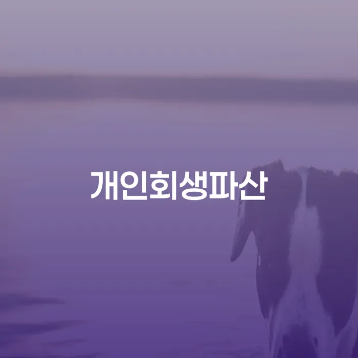 문경시 회생채권 개인회생 문제해결방법 체크해보세요