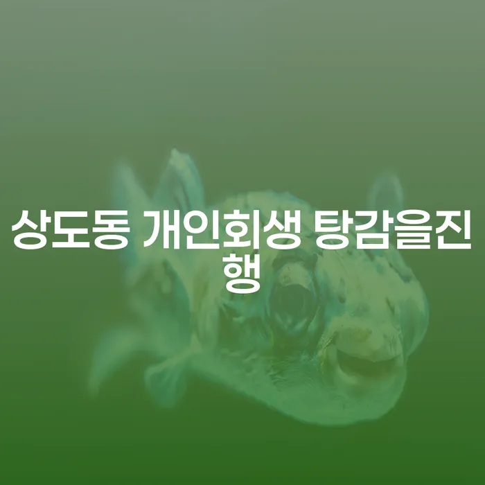 상도동 개인회생 탕감을진행
