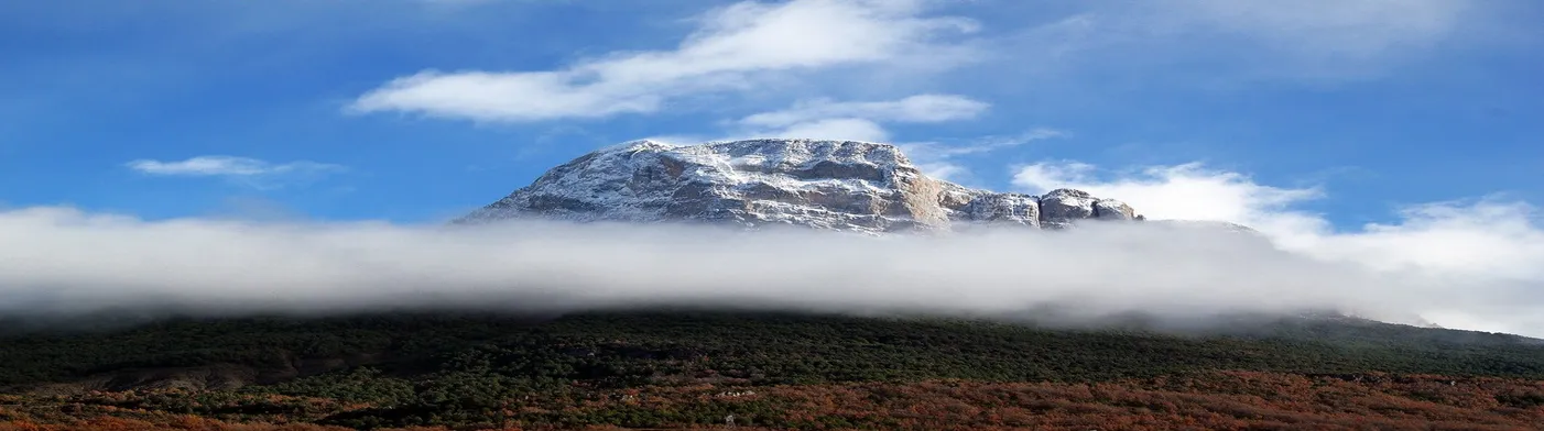 법무법인 서앤율