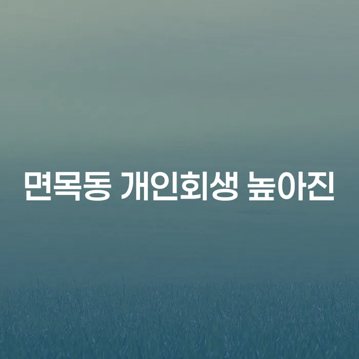 면목동 개인회생 높아진
