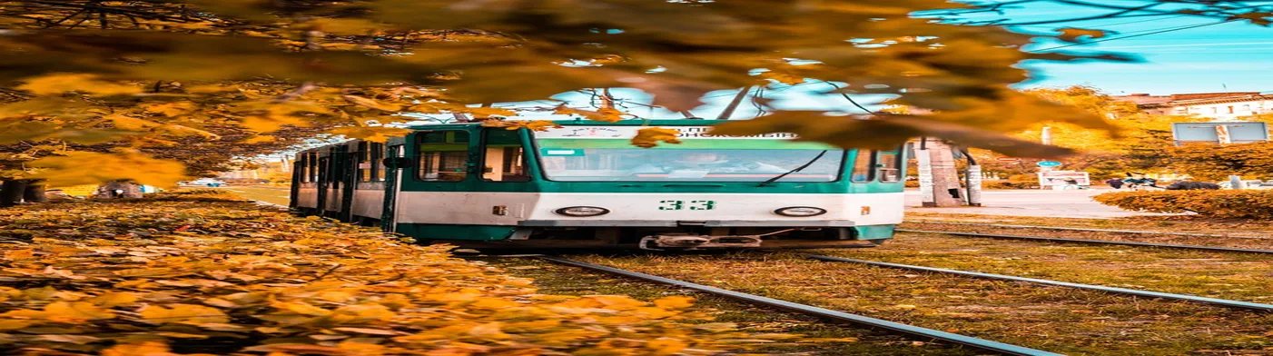 법무법인 서앤율