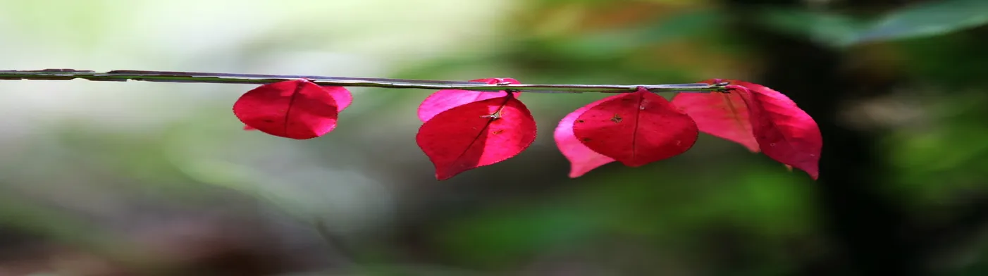 법무법인 서앤율