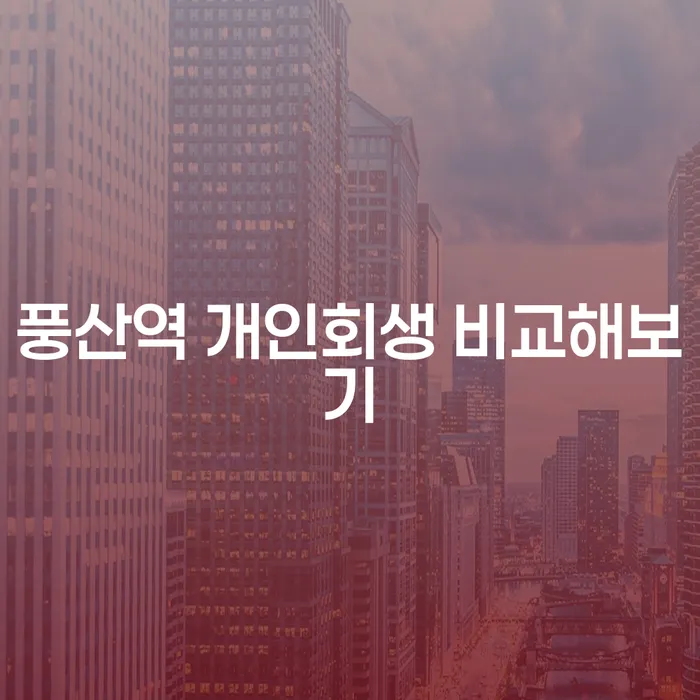 풍산역 개인회생 비교해보기