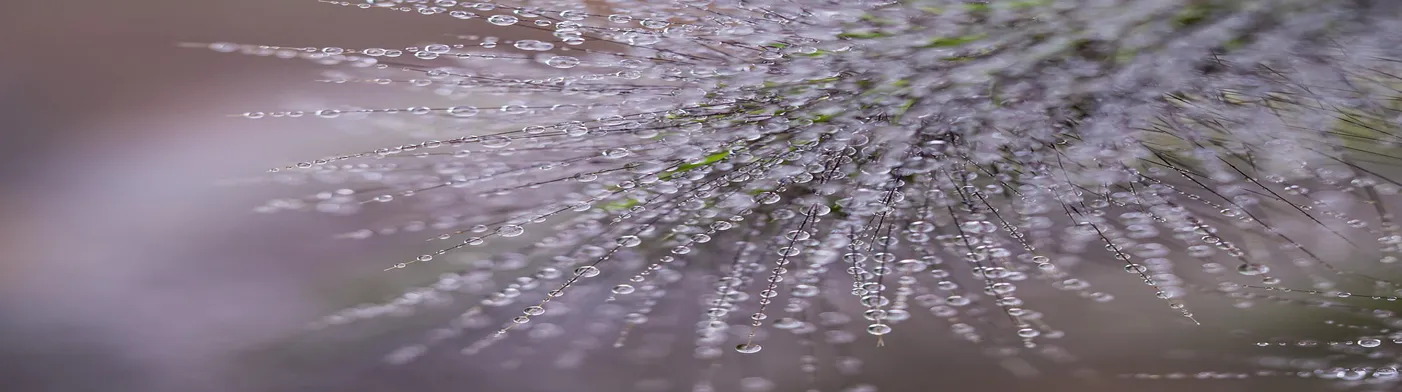 법무법인 서앤율