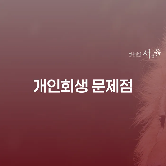 개인회생의 문제점이 무엇이고, 어떻게 극복할 수 있을까요?