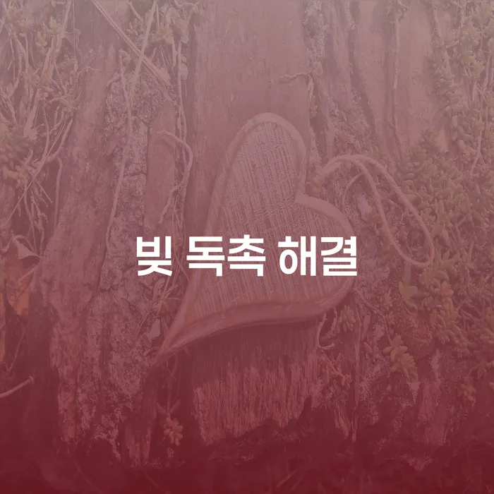 채무로 인한 빚 독촉, 어떻게 해결할 수 있을까요?
