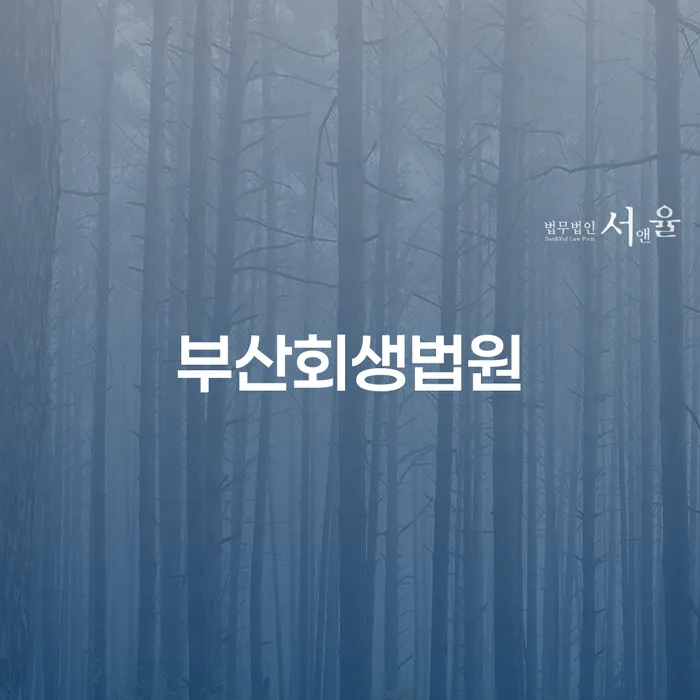 부산회생법원: 개인회생과 파산의 차이를 알고 계신가요?